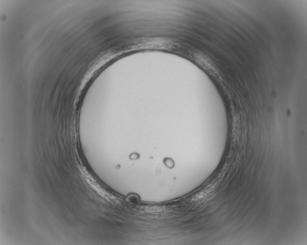 X0000052980800200507291550