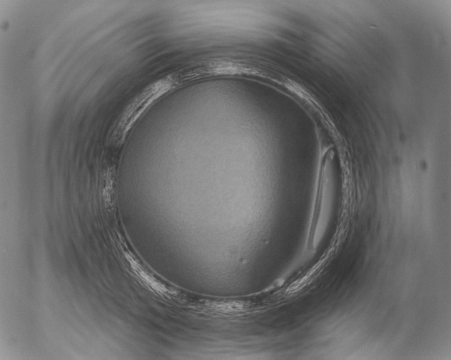 X0000052980801200507291550