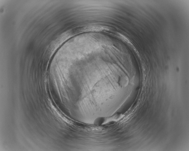 X0000052980802200507291550