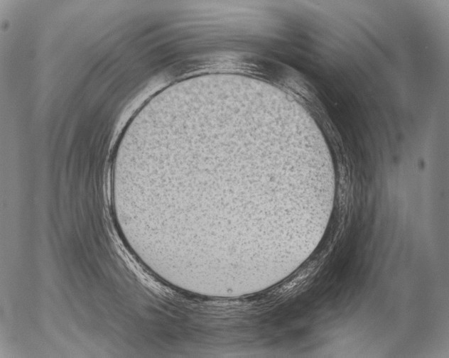 X0000052980804200507291550