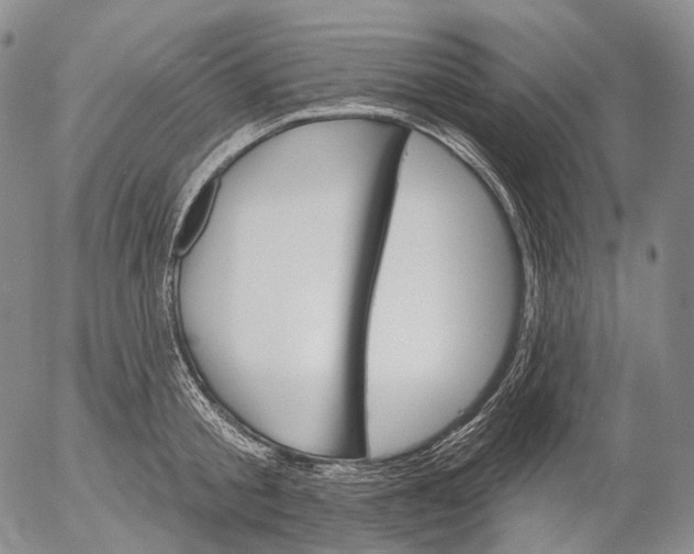 X0000052980805200507291550