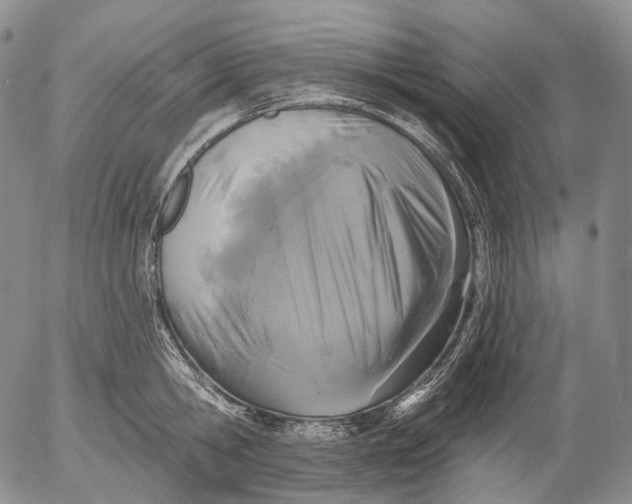 X0000052980806200507291550