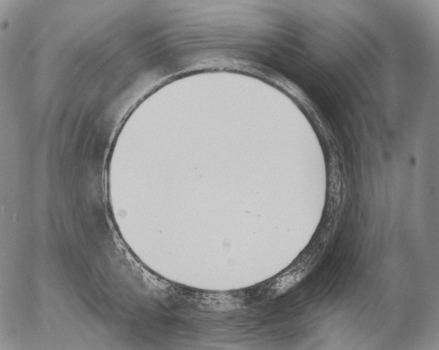 X0000052980807200507291550