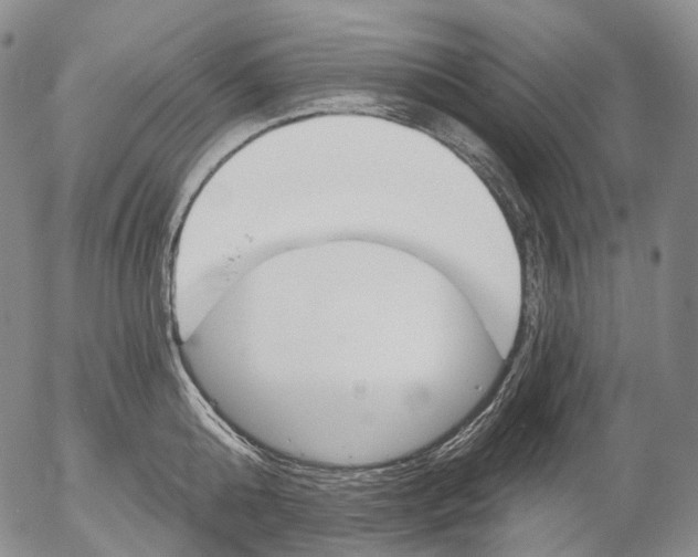 X0000052980808200507291550