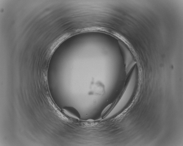 X0000052980809200507291550