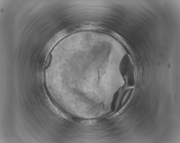 X0000052980810200507291550