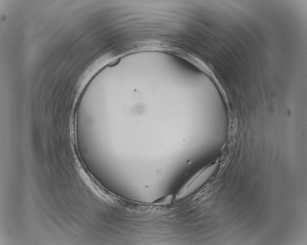 X0000052980811200507291550