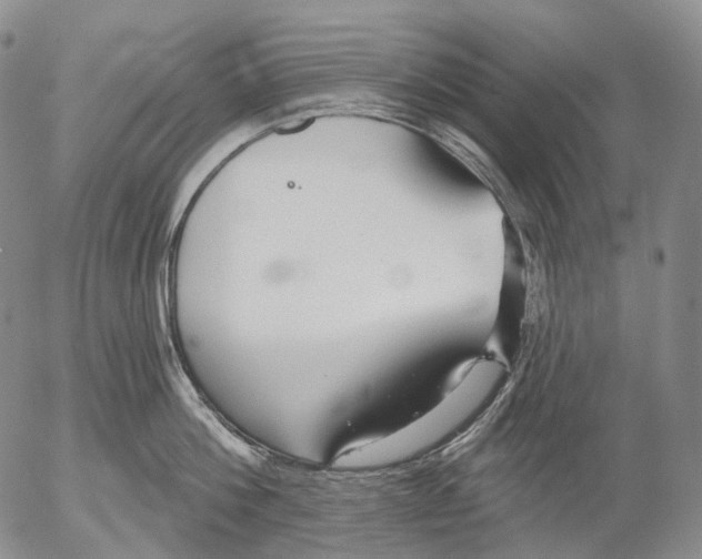 X0000052980812200507291550