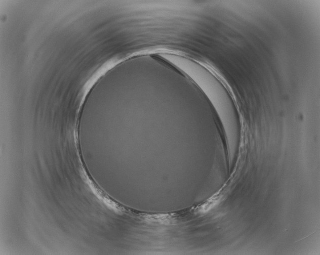 X0000052980813200507291550