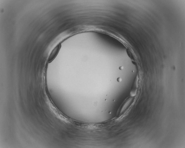 X0000052980814200507291550