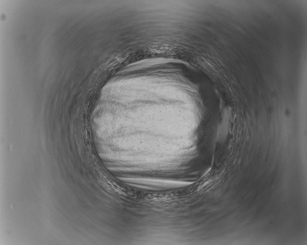 X0000052980817200507291549