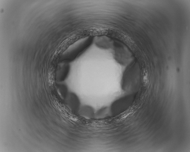 X0000052980819200507291549