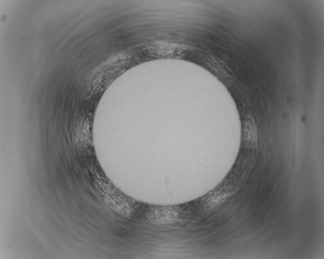 X0000052980820200507291549