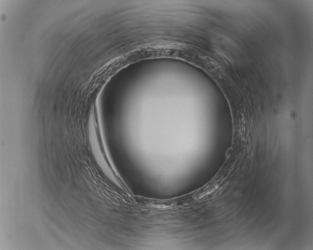 X0000052980821200507291549