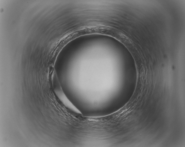 X0000052980822200507291549