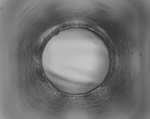 X0000052980823200507291549