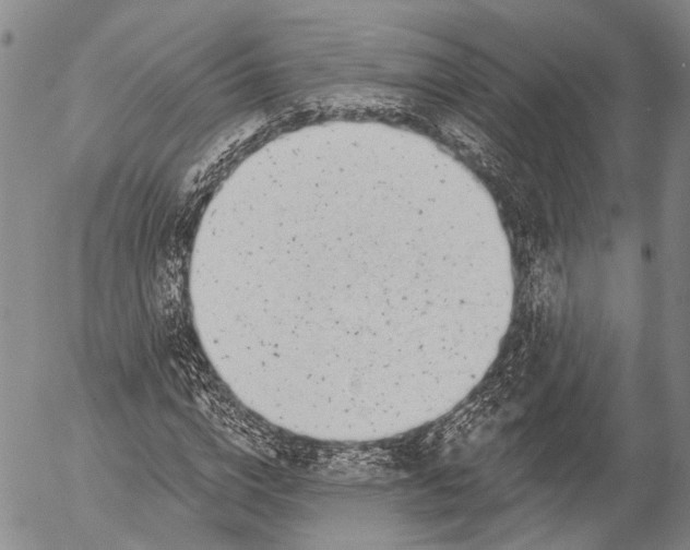 X0000052980824200507291549