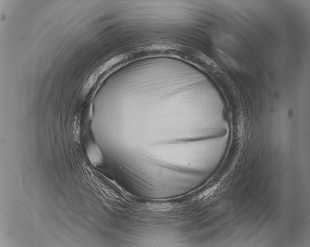 X0000052980825200507291549