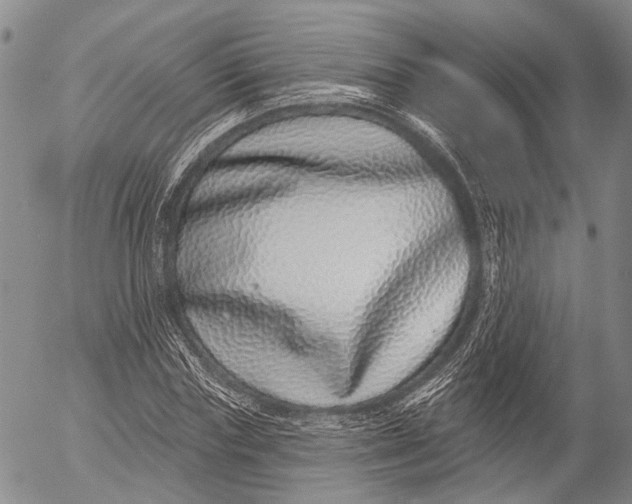 X0000052980827200507291549