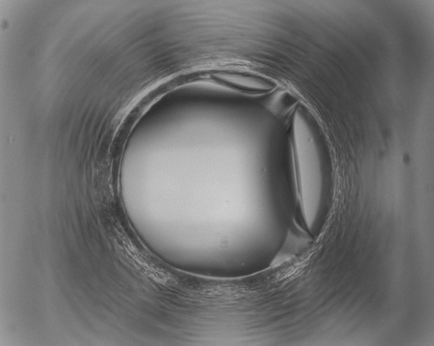 X0000052980830200507291549