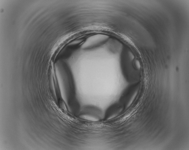 X0000052980831200507291549