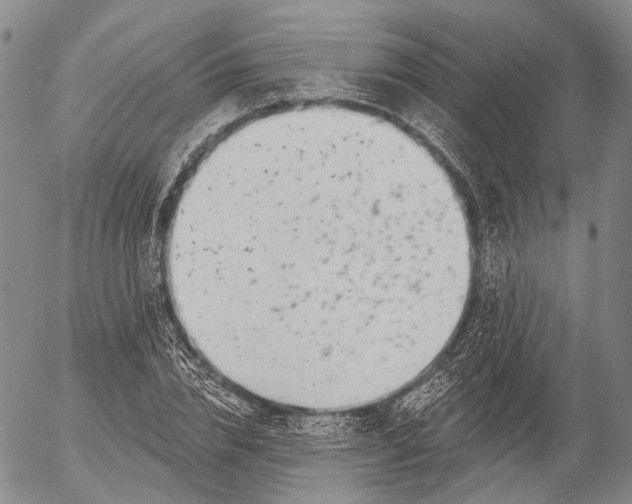 X0000052980832200507291549