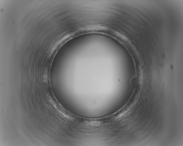 X0000052980833200507291549