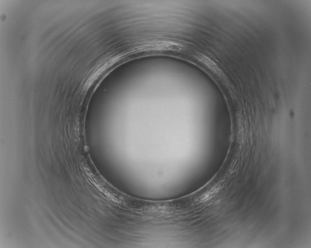 X0000052980834200507291549