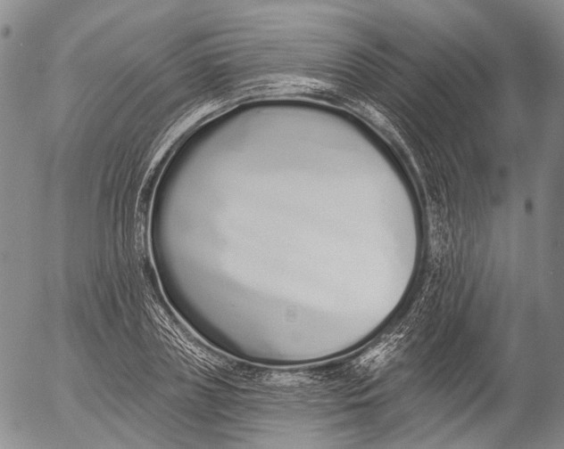 X0000052980835200507291549