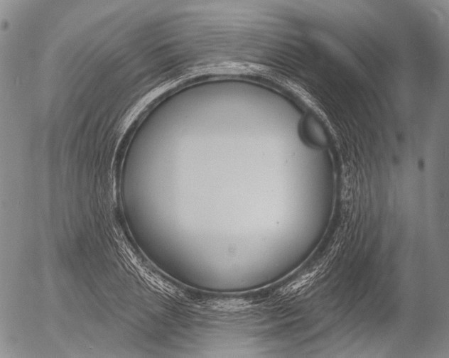 X0000052980837200507291549