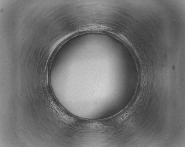 X0000052980838200507291549