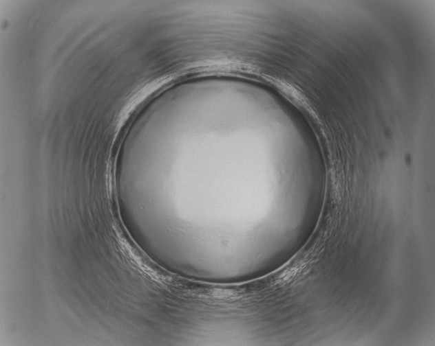 X0000052980839200507291549