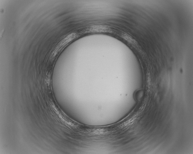 X0000052980841200507291549