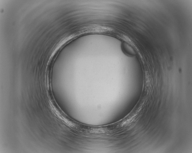 X0000052980843200507291549