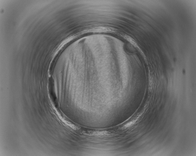 X0000052980845200507291549