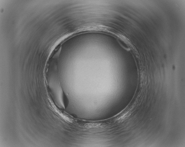 X0000052980846200507291549