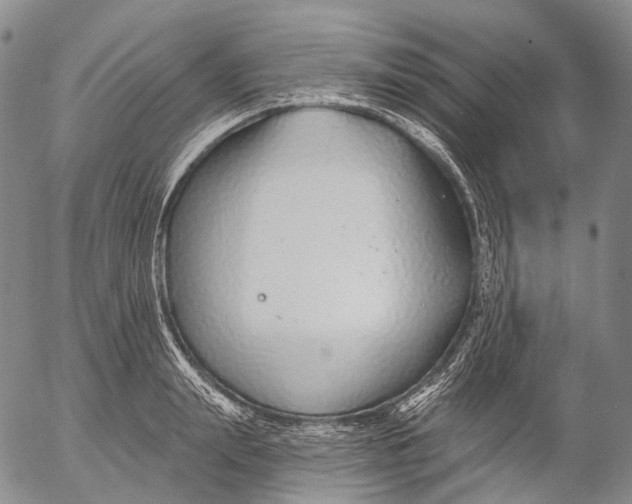 X0000052980847200507291550