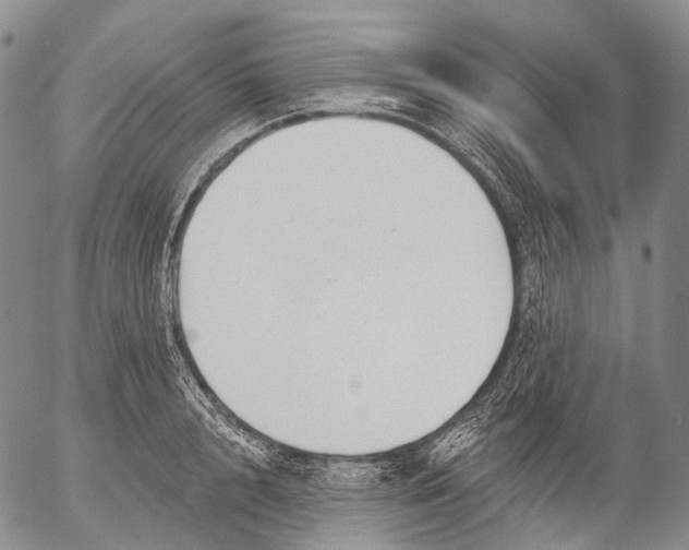 X0000052980848200507291550