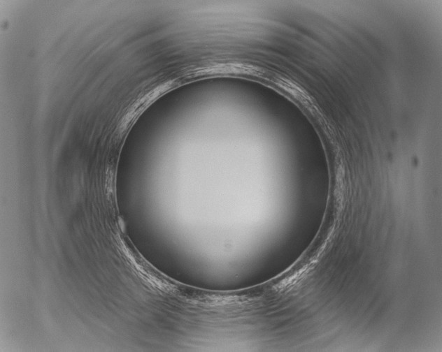 X0000052980849200507291550