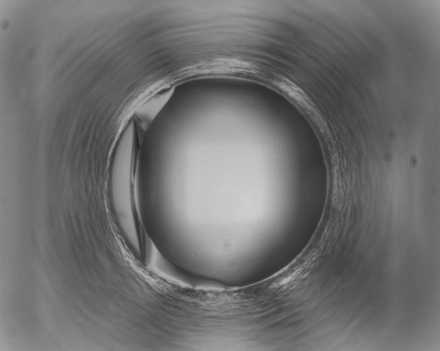 X0000052980850200507291550