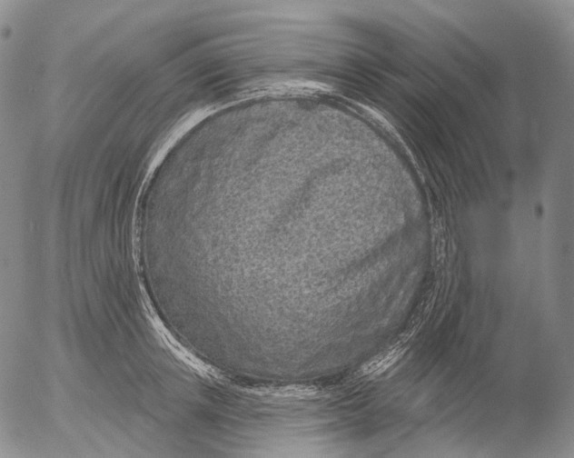 X0000052980851200507291550