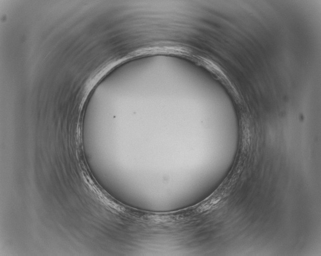 X0000052980852200507291550