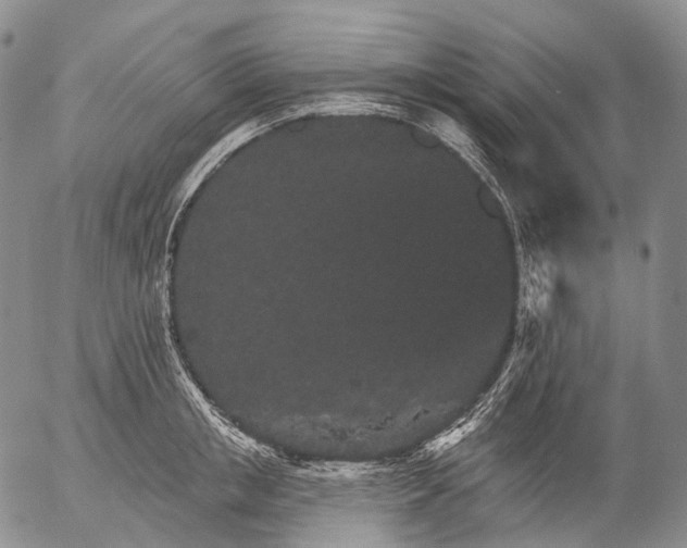 X0000052980853200507291550