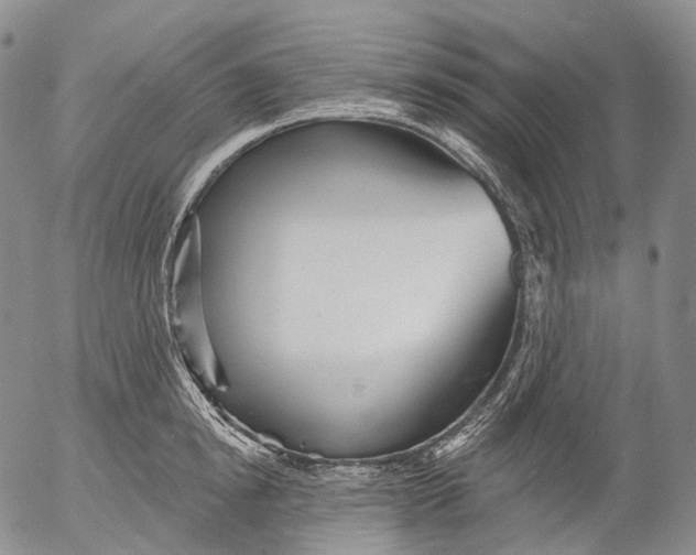 X0000052980854200507291550