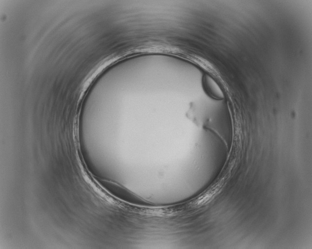 X0000052980855200507291550