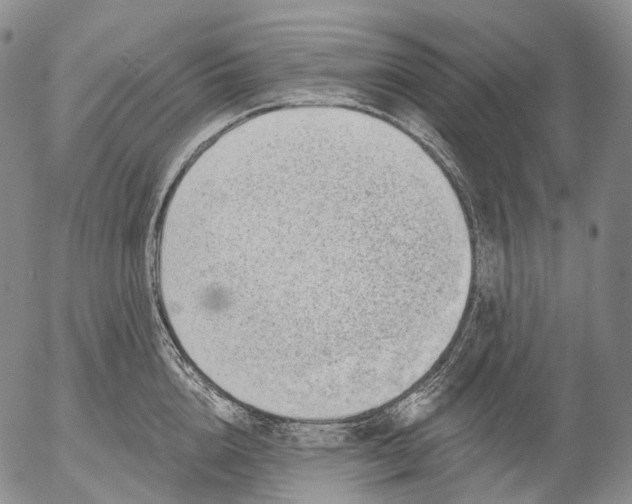 X0000052980856200507291550