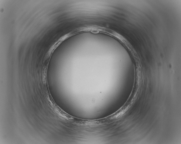 X0000052980857200507291550