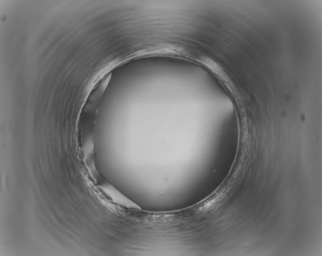 X0000052980858200507291550