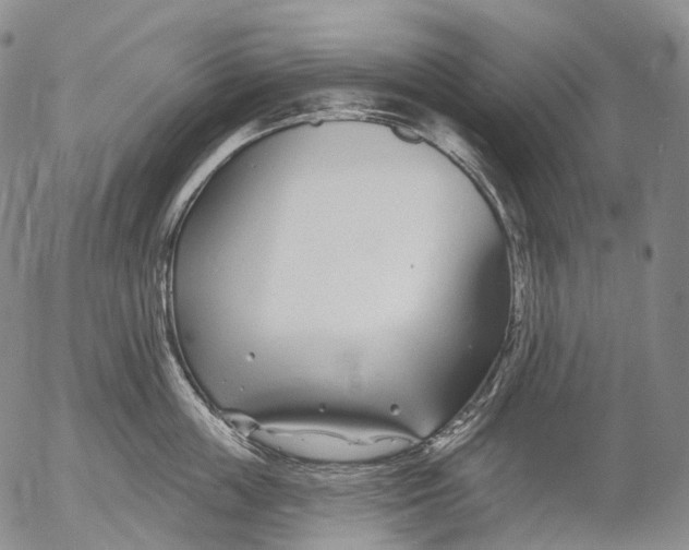 X0000052980859200507291550