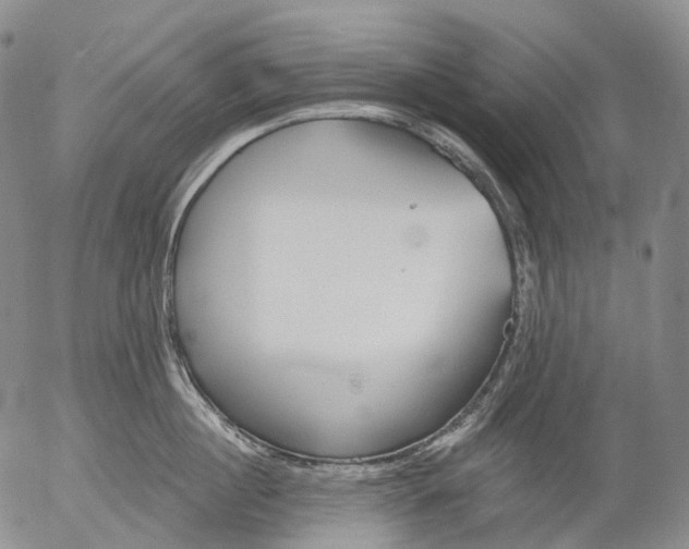 X0000052980860200507291550